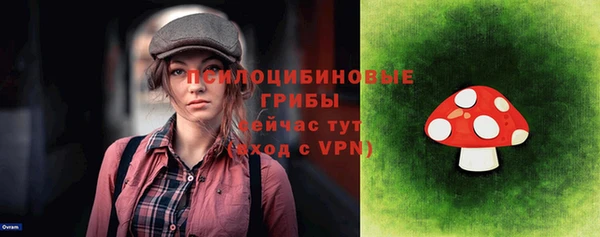 PSILOCYBIN Вязьма