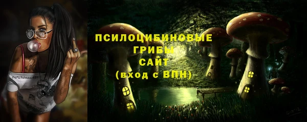 спиды Горняк