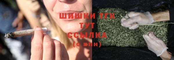 спиды Горняк