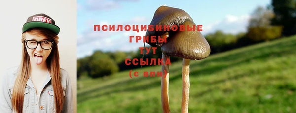 PSILOCYBIN Вязьма