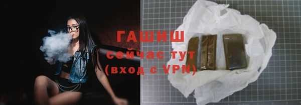 спиды Горняк