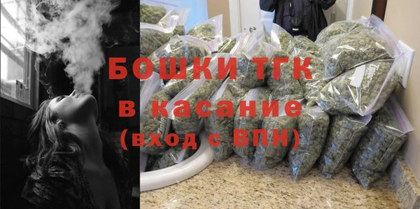 PSILOCYBIN Вязьма