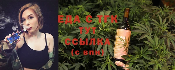 спиды Горняк