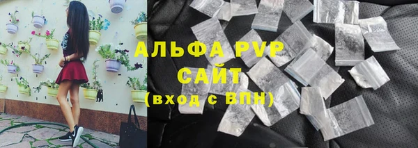 PSILOCYBIN Вязьма