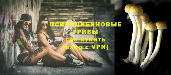 PSILOCYBIN Вязьма