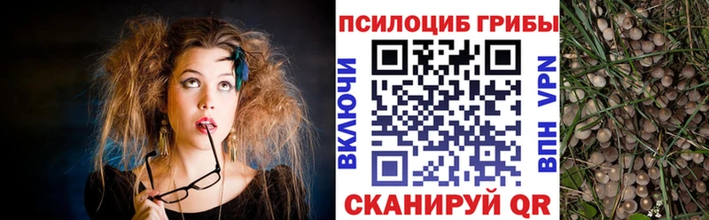 где найти наркотики  Елизаветинская  Галлюциногенные грибы Cubensis 